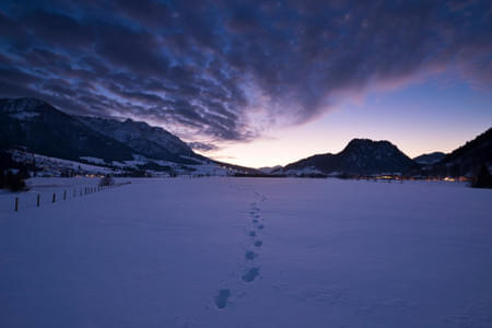 Schneeschuh & Winterwandern Bild 6